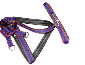 AniMax Harness and Dog Lead Set, Soft Padded Pet Vest Harness with Dog Leash Adjustable Reflective Car Harness and Bungee Dog Training Leash Quick Fit Harness for Adult and Medium Dogs (Purple)