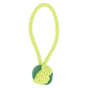 Animax Cotton Rope Toys for Long Durability Chewing and Teething for Dogs & Puppies - Green (Small)