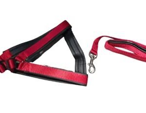 Animax Designer Stylish Neck Belt for All Dogs (Red)